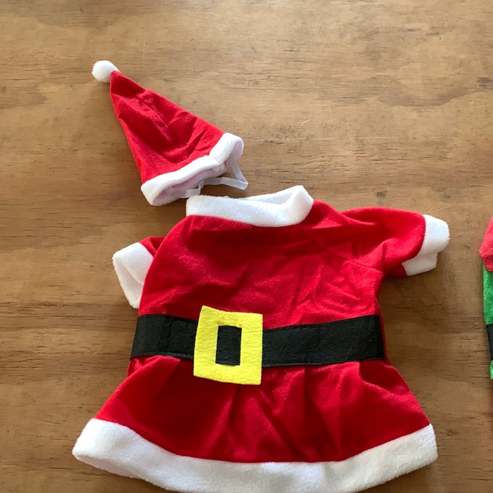 Santa and elf pet costume